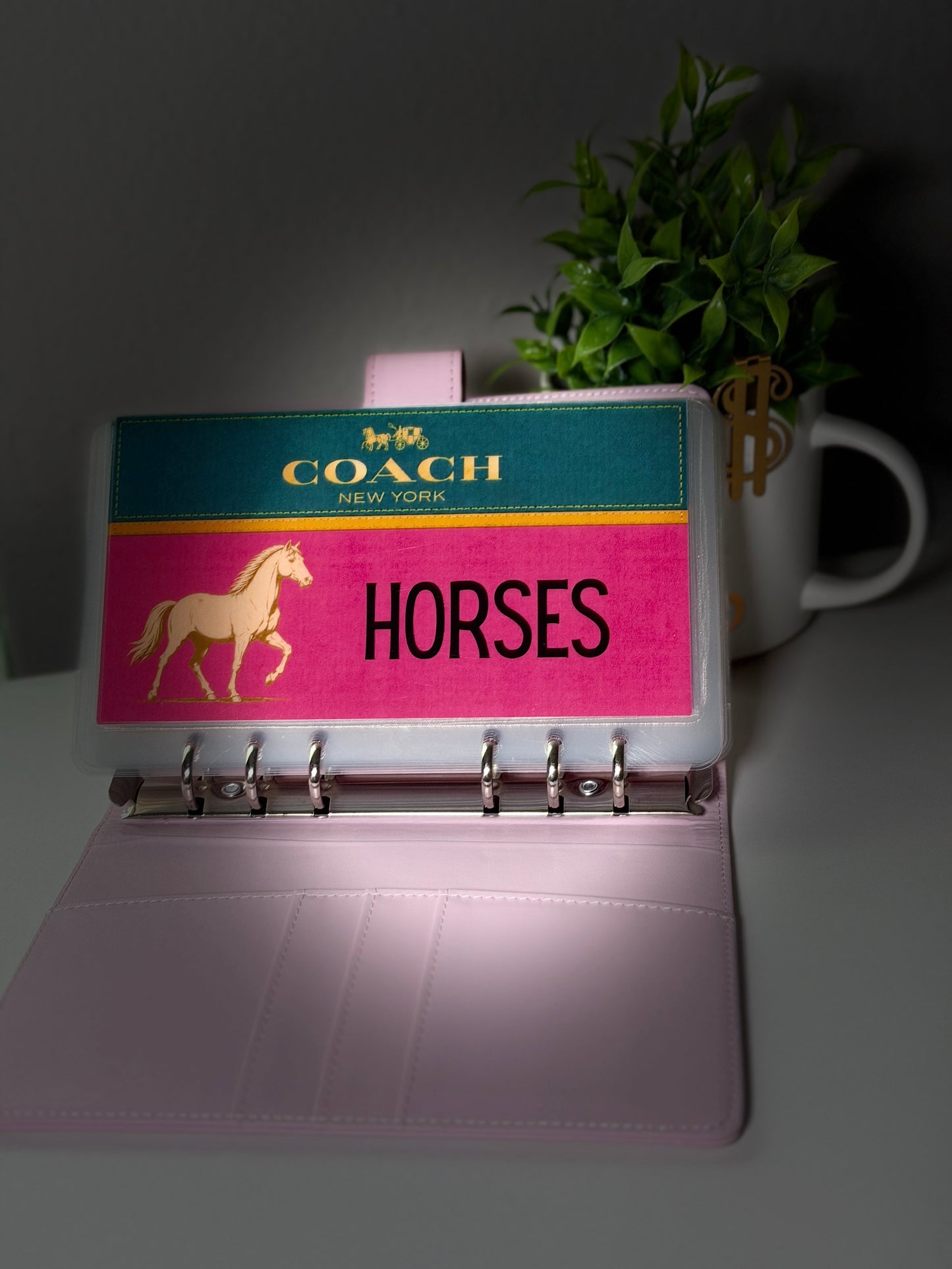 Custom Binder with Envelopes