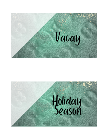 Budget Wallet Envelopes (No Binder)